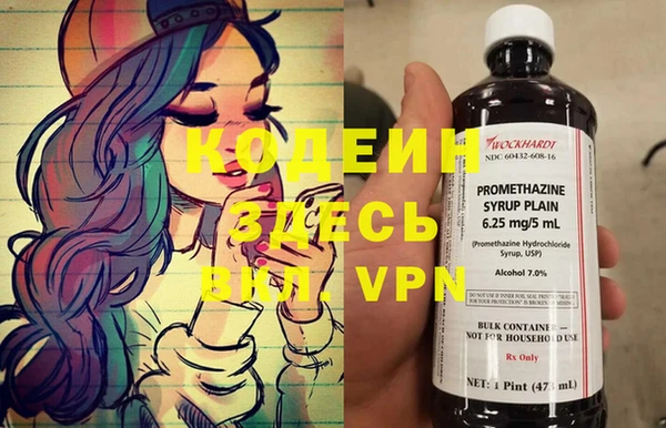 ГАЛЛЮЦИНОГЕННЫЕ ГРИБЫ Новозыбков