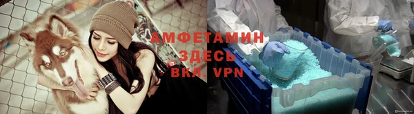индика Алексин