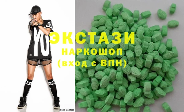 индика Алексин