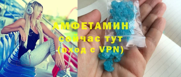 индика Алексин