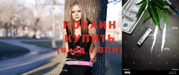 индика Алексин