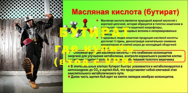 индика Алексин