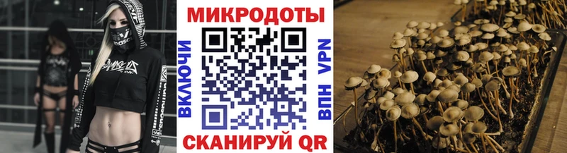 ОМГ ОМГ как зайти  Сенгилей  Галлюциногенные грибы прущие грибы 